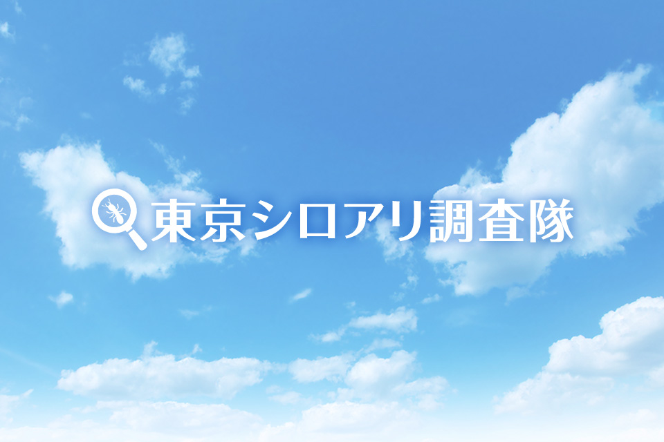 東京都小平市シロアリ診断調査