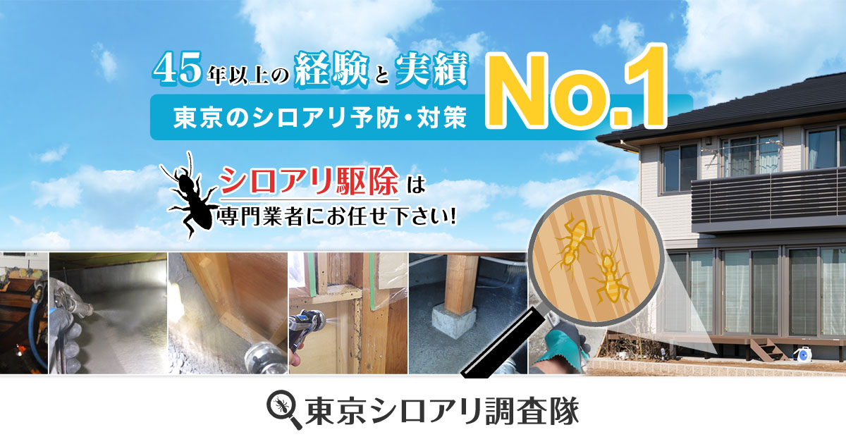 シロアリ駆除費用の相場|東京シロアリ調査隊 シロアリ駆除費用の相場|東京シロアリ調査隊