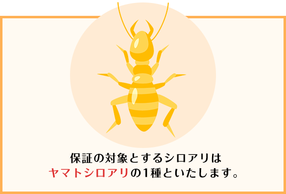 保証の対象とするシロアリはヤマトシロアリの1種といたします。