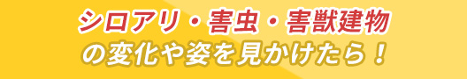 シロアリ・害虫・害獣建物の変化や姿を見かけたら！