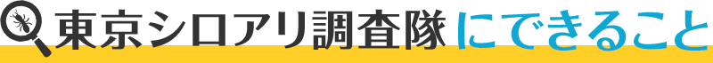 東京シロアリ調査隊にできること