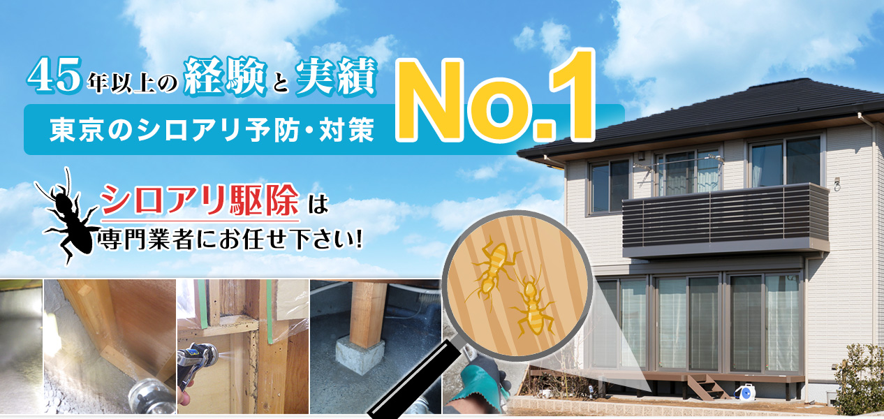 40年以上の経験と実績小平市近郊のシロアリ予防・対策No.1